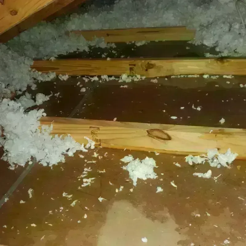 Attic Water Damage in Forney, TX