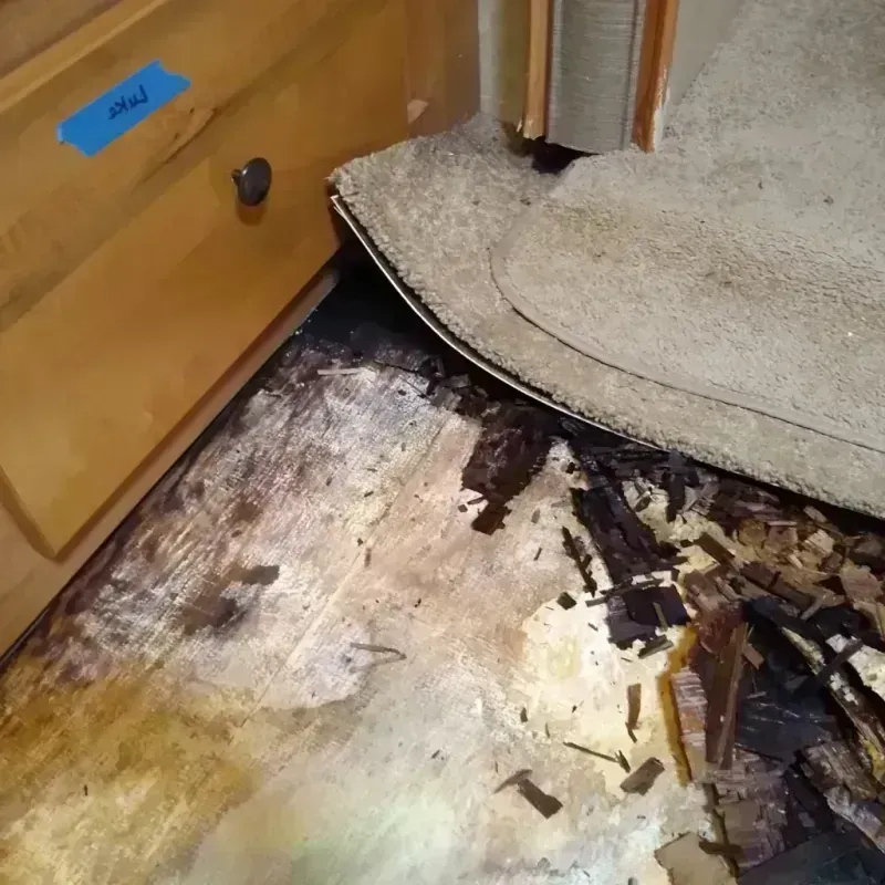 Wood Floor Water Damage in Forney, TX